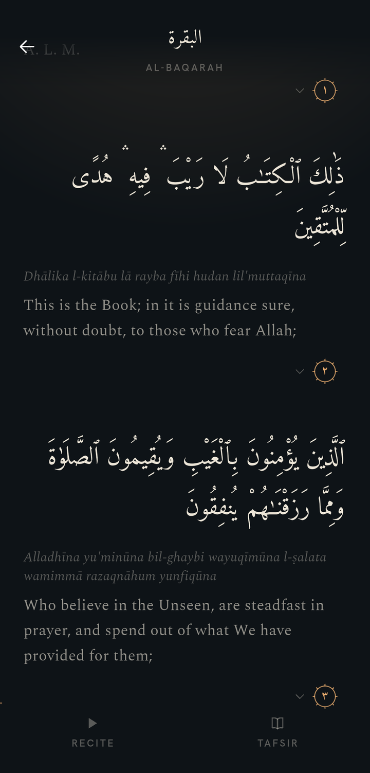 QuranPath verse reader screen